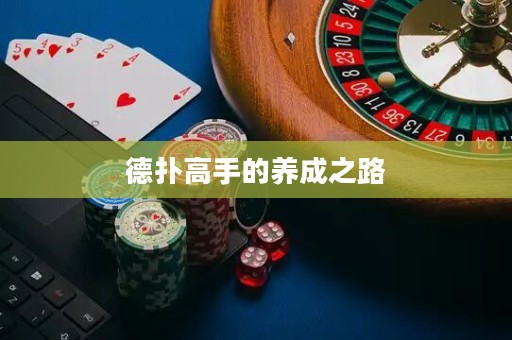德撲高手的養成之路