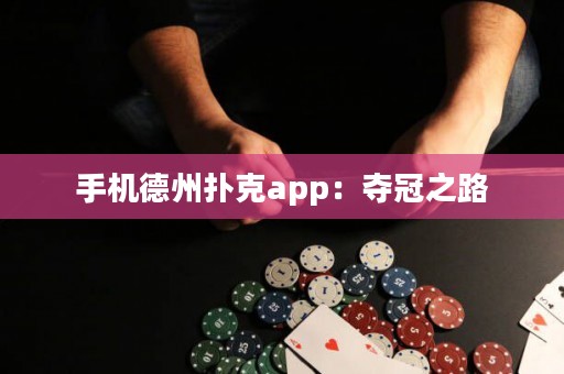 手機德州撲克app：奪冠之路