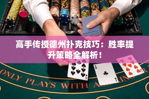 高手傳授德州撲克技巧：勝率提升策略全解析！