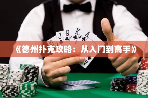 《德州撲克攻略：從入門到高手》