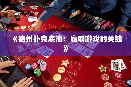 《德州撲克底池：贏取游戲的關鍵》