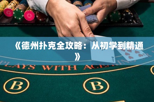 《德州撲克全攻略：從初學到精通》