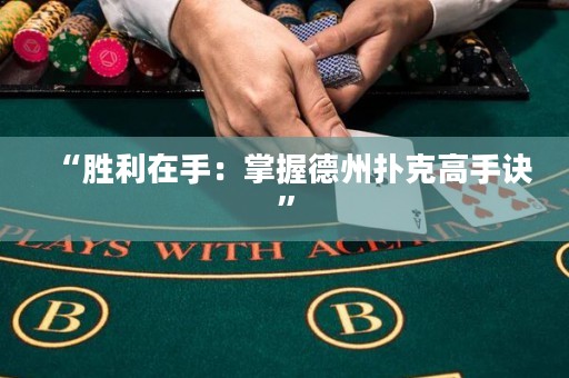 “勝利在手：掌握德州撲克高手訣”