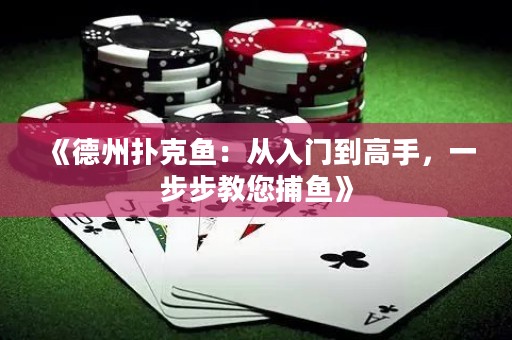 《德州撲克魚：從入門到高手，一步步教您捕魚》